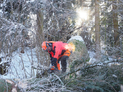 Winterwald Arbeit